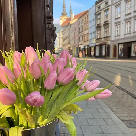 Apartmán Kovarik I *